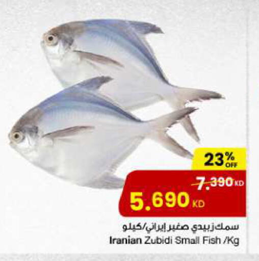 available at مركز سلطان in الكويت - مدينة الكويت