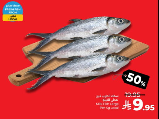 available at لولو هايبرماركت in مملكة العربية السعودية, السعودية, سعودية - سيهات