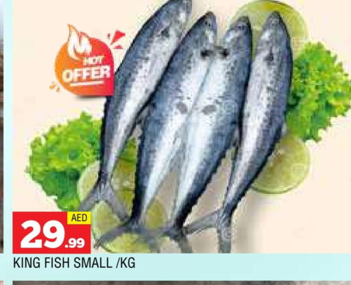 سمك ملكي available at المدينة in الإمارات العربية المتحدة , الامارات - الشارقة / عجمان