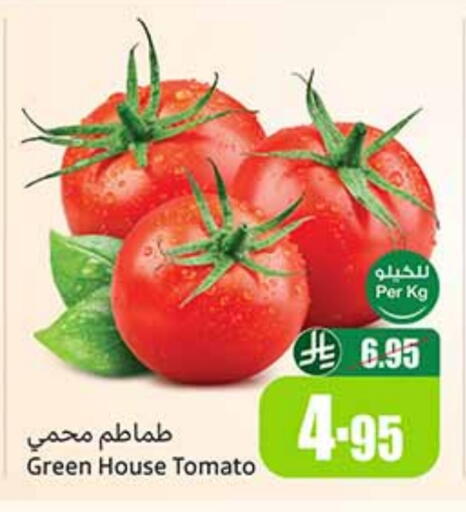 Tomato available at Othaim Markets in KSA, Saudi Arabia, Saudi - Buraidah