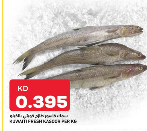 available at أونكوست in الكويت - مدينة الكويت