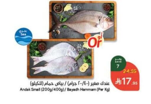 available at هايبر بنده in مملكة العربية السعودية, السعودية, سعودية - مكة المكرمة