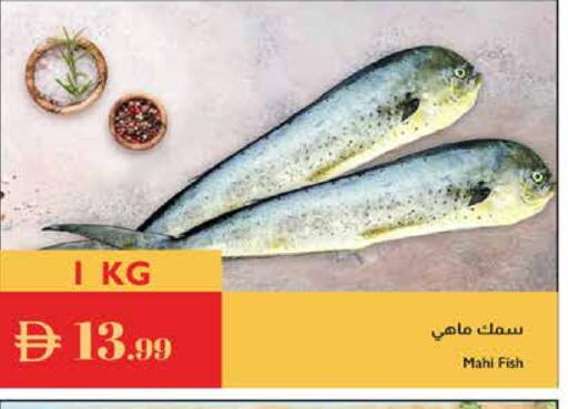 available at إسطنبول سوبرماركت in الإمارات العربية المتحدة , الامارات - الشارقة / عجمان