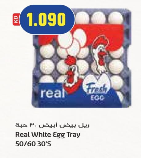 available at جراند كوستو in الكويت - مدينة الكويت