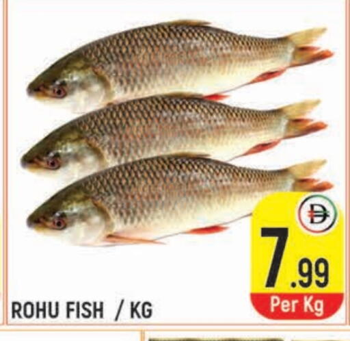 available at سنابل بني ياس in الإمارات العربية المتحدة , الامارات - أم القيوين‎