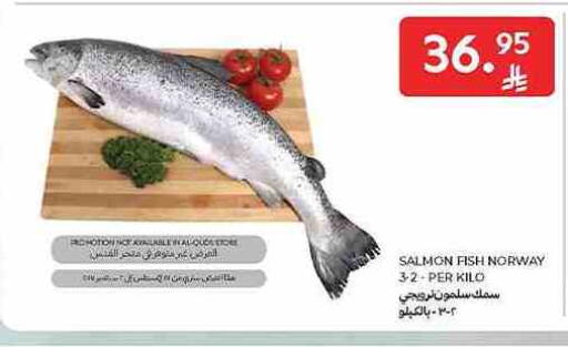 available at كارفور in مملكة العربية السعودية, السعودية, سعودية - جدة