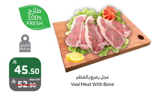 لحم عجل available at الراية in مملكة العربية السعودية, السعودية, سعودية - تبوك