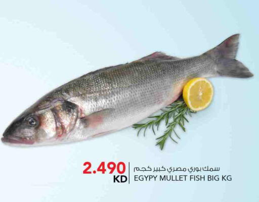 available at النصر هايبر ماركت in الكويت - مدينة الكويت