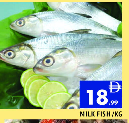 available at المدينة in الإمارات العربية المتحدة , الامارات - الشارقة / عجمان