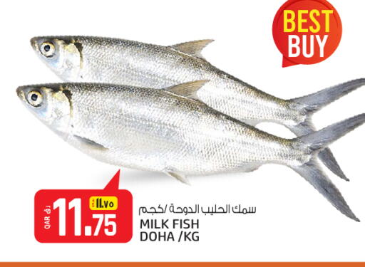 available at Saudia Hypermarket in Qatar - Al Rayyan