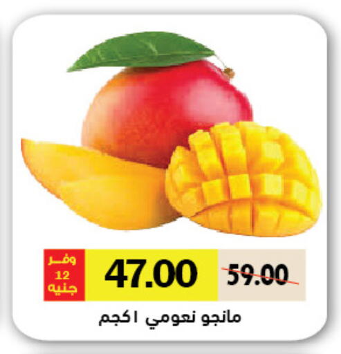Mangoes available at Royal House in Egypt - Cairo