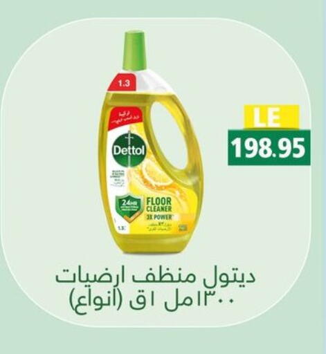 ديتول منظف عام available at رويال هاوس in Egypt - القاهرة