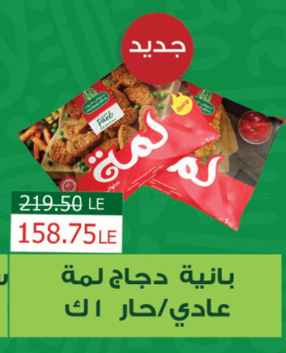 بانية الدجاج available at رويال هاوس in Egypt - القاهرة