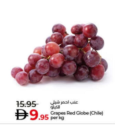 Grapes from Chile available at Lulu Hypermarket in UAE - Fujairah