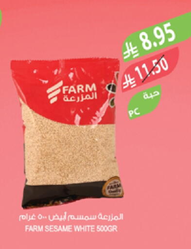 Sesame available at Farm  in KSA, Saudi Arabia, Saudi - Al-Kharj