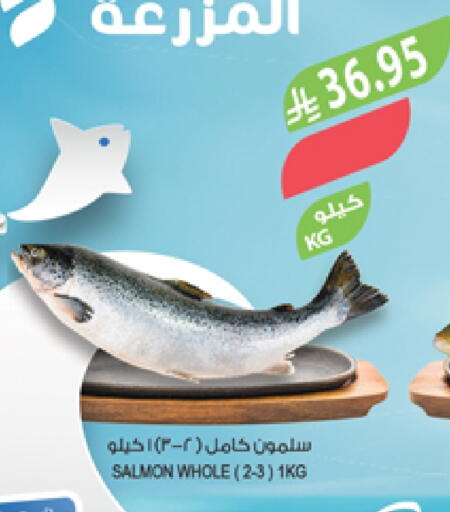 available at Farm  in KSA, Saudi Arabia, Saudi - Abha