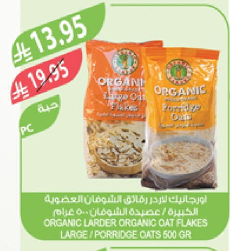 Oats available at Farm  in KSA, Saudi Arabia, Saudi - Yanbu