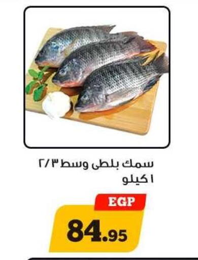 available at Awlad Ragab in Egypt - Cairo