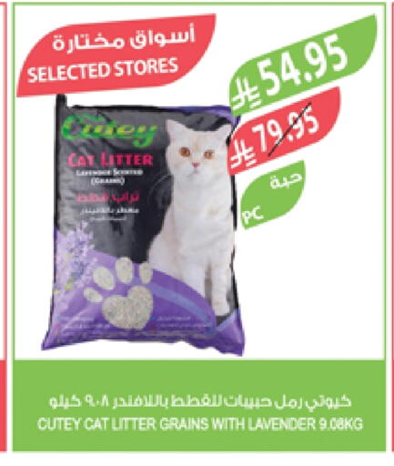 Pets in Farm , Saudi Arabia Offers - Saudi Arabia available at Farm in KSA, Saudi Arabia, Saudi - Yanbu