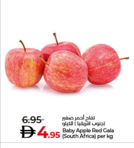 Apples from South Africa available at Lulu Hypermarket in UAE - Umm al Quwain