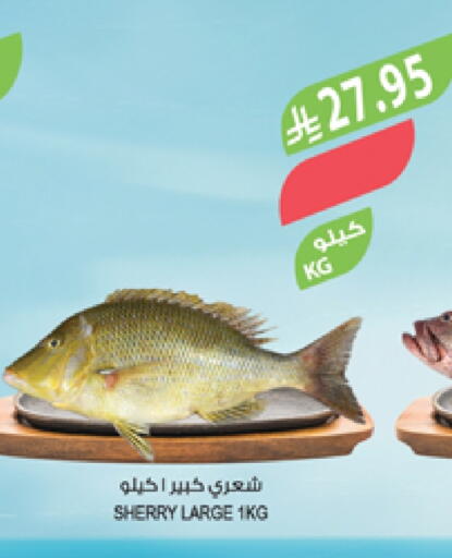 available at Farm  in KSA, Saudi Arabia, Saudi - Abha