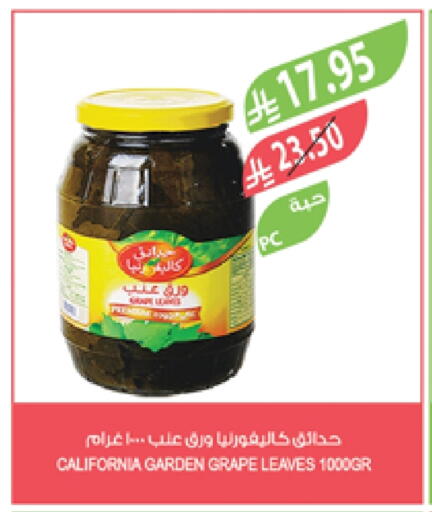 كاليفورنيا جاردن available at المزرعة in مملكة العربية السعودية, السعودية, سعودية - الأحساء‎