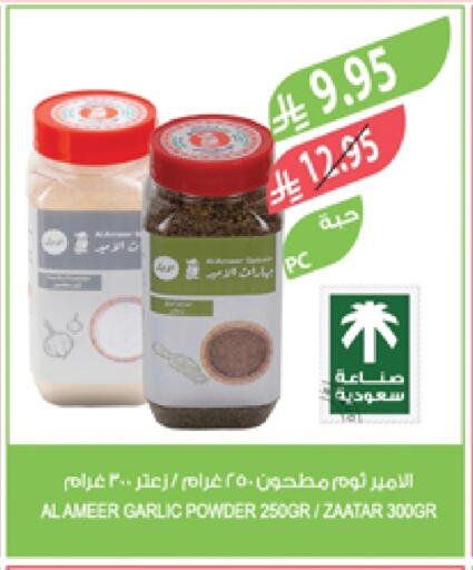 Salts, Spices & Paste in Farm , Saudi Arabia Offers - Saudi Arabia Garlic available at Farm in KSA, Saudi Arabia, Saudi - Sakaka