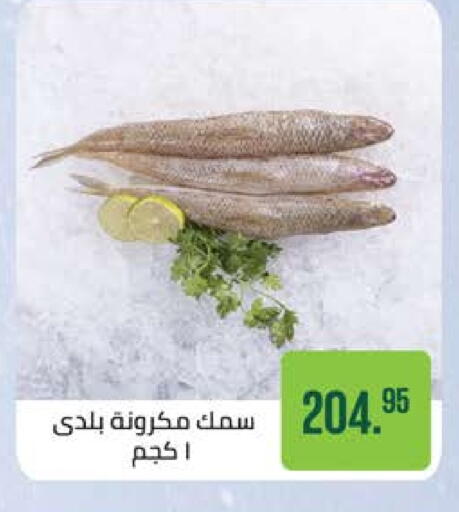 available at Seoudi Supermarket in Egypt - Cairo
