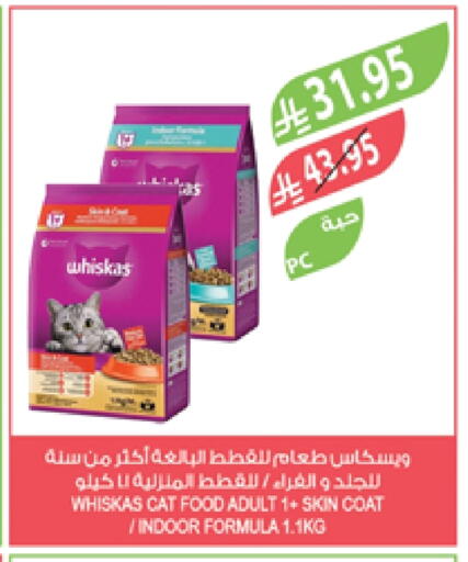 Pets in Farm , Saudi Arabia Offers - Saudi Arabia available at Farm in KSA, Saudi Arabia, Saudi - Yanbu