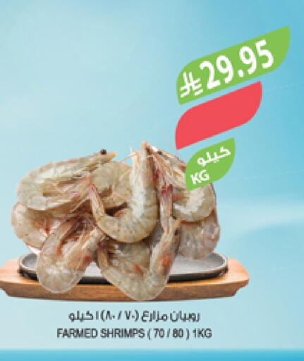 available at Farm  in KSA, Saudi Arabia, Saudi - Abha