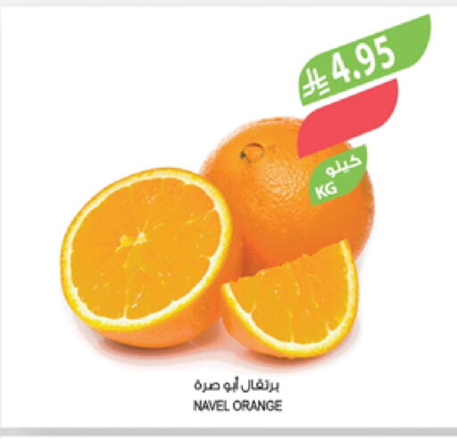 Orange available at Farm  in KSA, Saudi Arabia, Saudi - Jazan