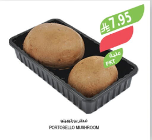 Mushroom available at Farm  in KSA, Saudi Arabia, Saudi - Khafji
