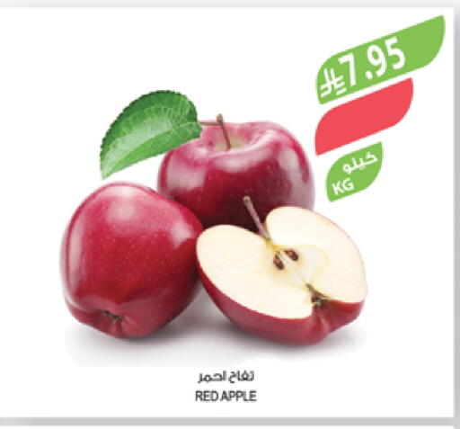 Apples available at Farm  in KSA, Saudi Arabia, Saudi - Jazan