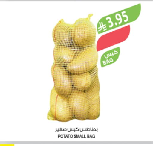 Potato available at Farm  in KSA, Saudi Arabia, Saudi - Abha