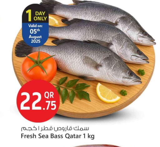 available at Safari Hypermarket in Qatar - Al Rayyan