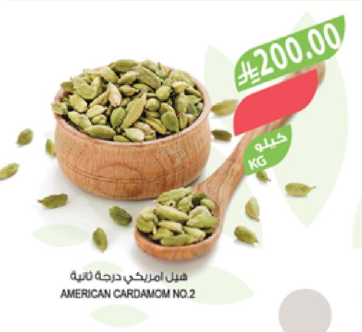 Dried Herbs available at Farm  in KSA, Saudi Arabia, Saudi - Tabuk