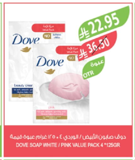 DOVE available at Farm  in KSA, Saudi Arabia, Saudi - Saihat