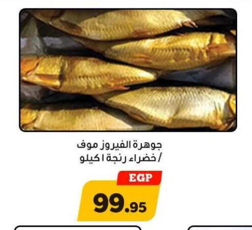 available at أولاد رجب in Egypt - القاهرة