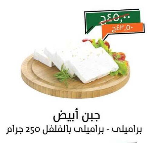 available at Kheir Zaman  in Egypt - Cairo
