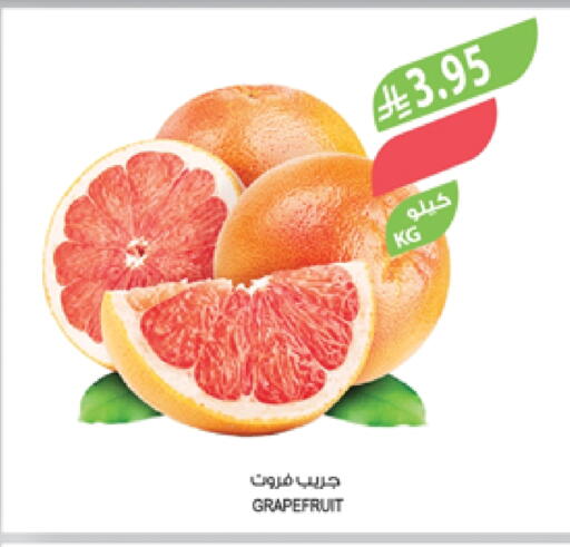 available at Farm  in KSA, Saudi Arabia, Saudi - Khafji