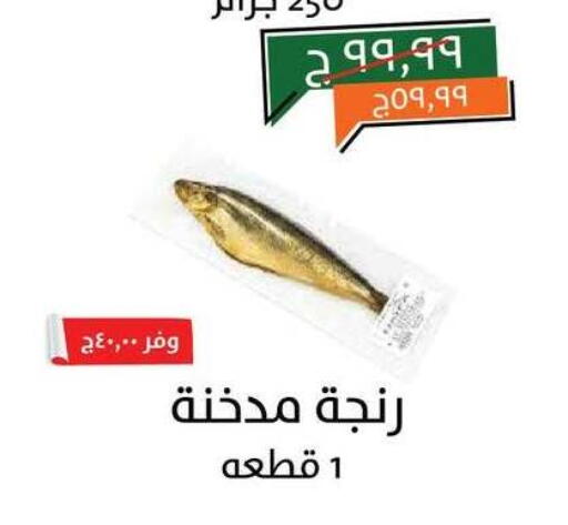 available at Kheir Zaman  in Egypt - Cairo