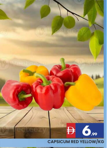 Chilli / Capsicum available at AL MADINA in UAE - Sharjah / Ajman