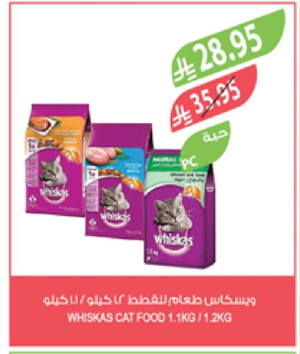 Pets in Farm , Saudi Arabia Offers - Saudi Arabia available at Farm in KSA, Saudi Arabia, Saudi - Yanbu