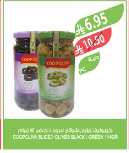 COOPOLIVA available at Farm  in KSA, Saudi Arabia, Saudi - Yanbu