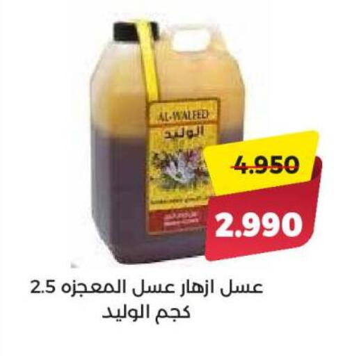 عسل available at جمعية العديلة التعاونية in الكويت - محافظة الأحمدي