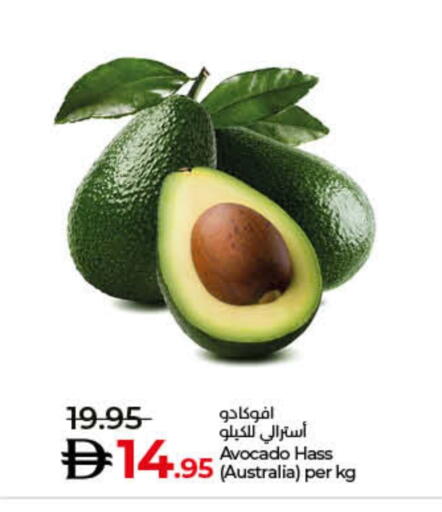 Avacado from Australia available at Lulu Hypermarket in UAE - Fujairah