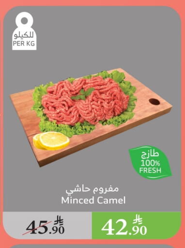 اللحوم الطازجة والمبردة in الراية, المملكة العربية السعودية Offers - المملكة العربية السعودية لحم حاشي available at الراية in مملكة العربية السعودية, السعودية, سعودية - بيشة