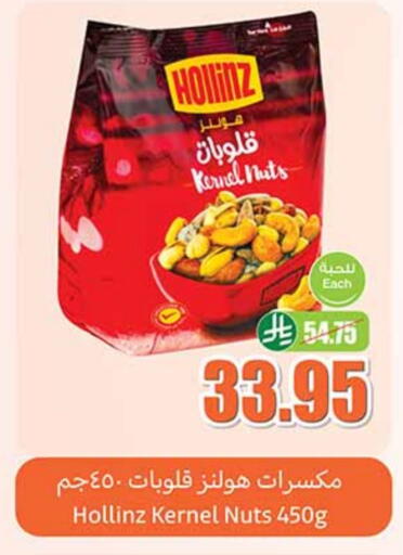 الفواكه المجففة و التمور in أسواق عبد الله العثيم, المملكة العربية السعودية Offers - المملكة العربية السعودية available at أسواق عبد الله العثيم in مملكة العربية السعودية, السعودية, سعودية - بيشة