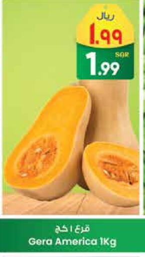 available at City Flower in KSA, Saudi Arabia, Saudi - Hail
