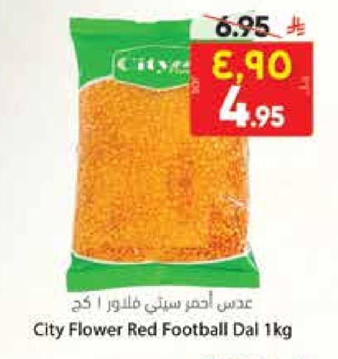 available at City Flower in KSA, Saudi Arabia, Saudi - Hail